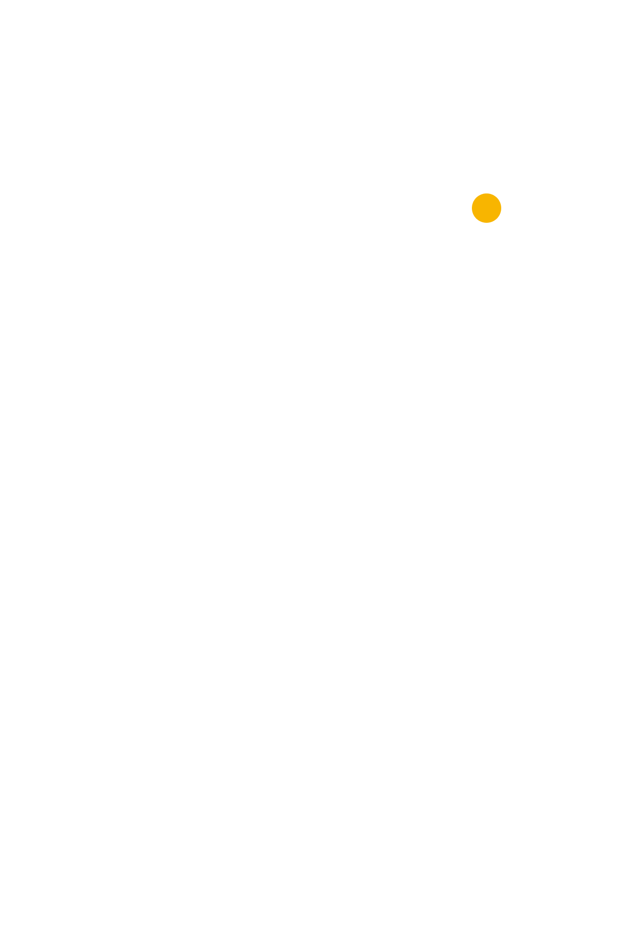 現在、5年後、10年後、100年後