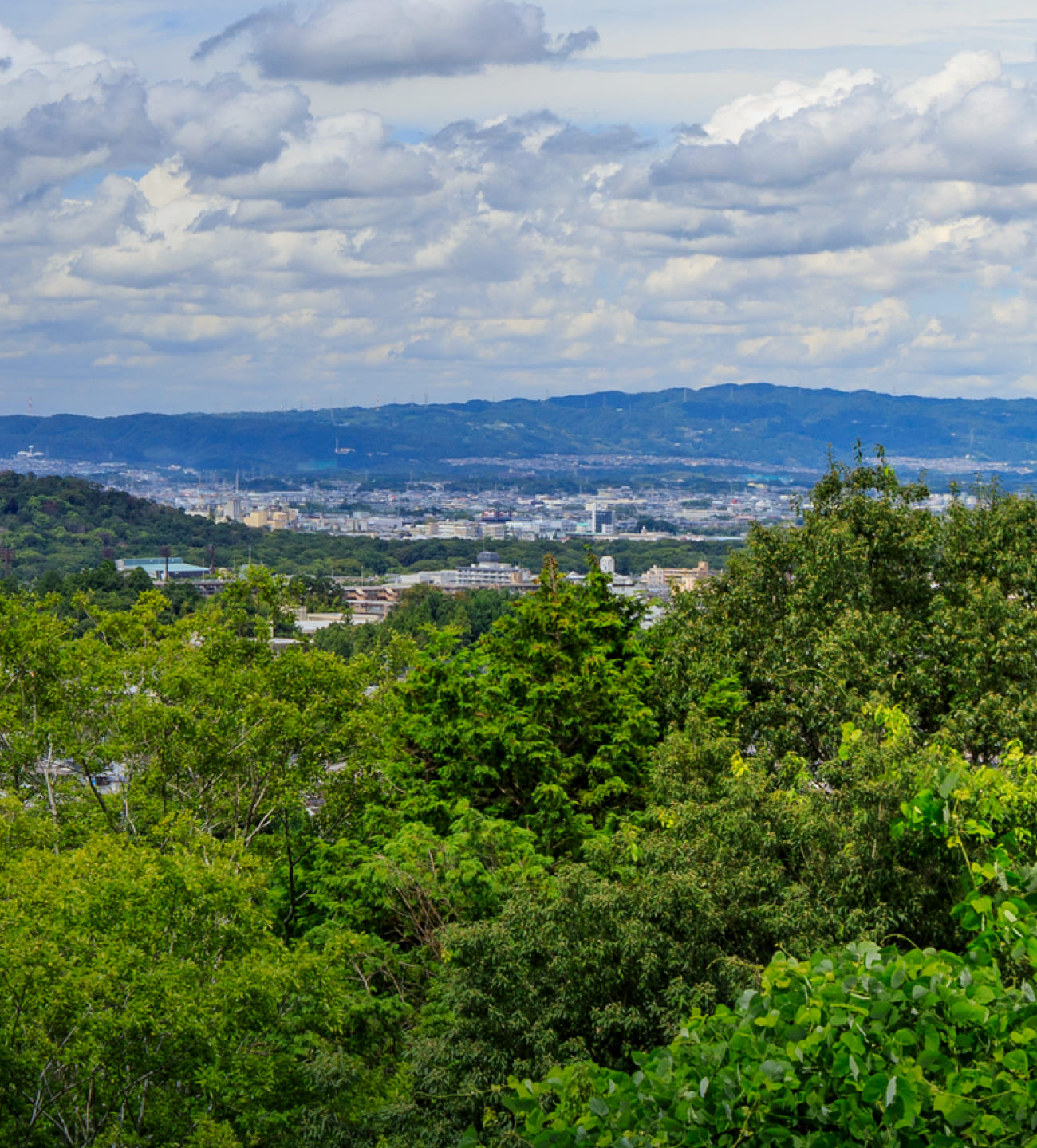 持続可能な未来を、仕組む。